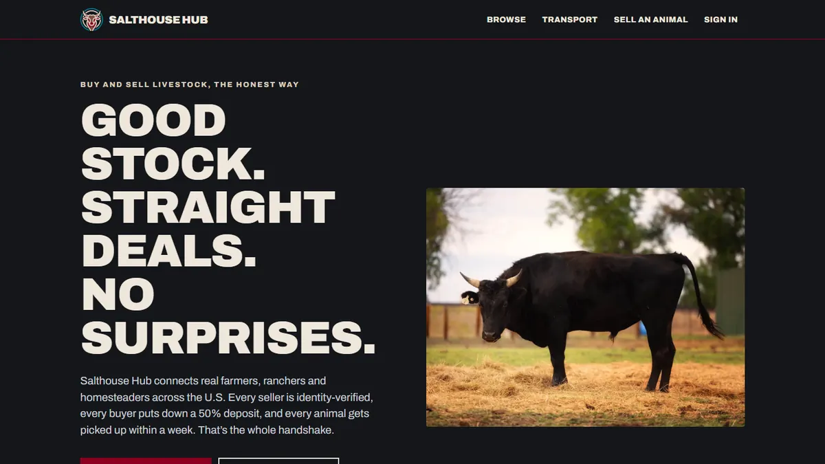 Homepage of the Salthouse Hub website